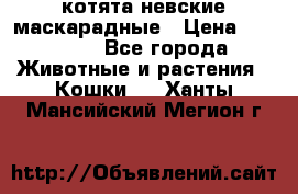 котята невские маскарадные › Цена ­ 18 000 - Все города Животные и растения » Кошки   . Ханты-Мансийский,Мегион г.